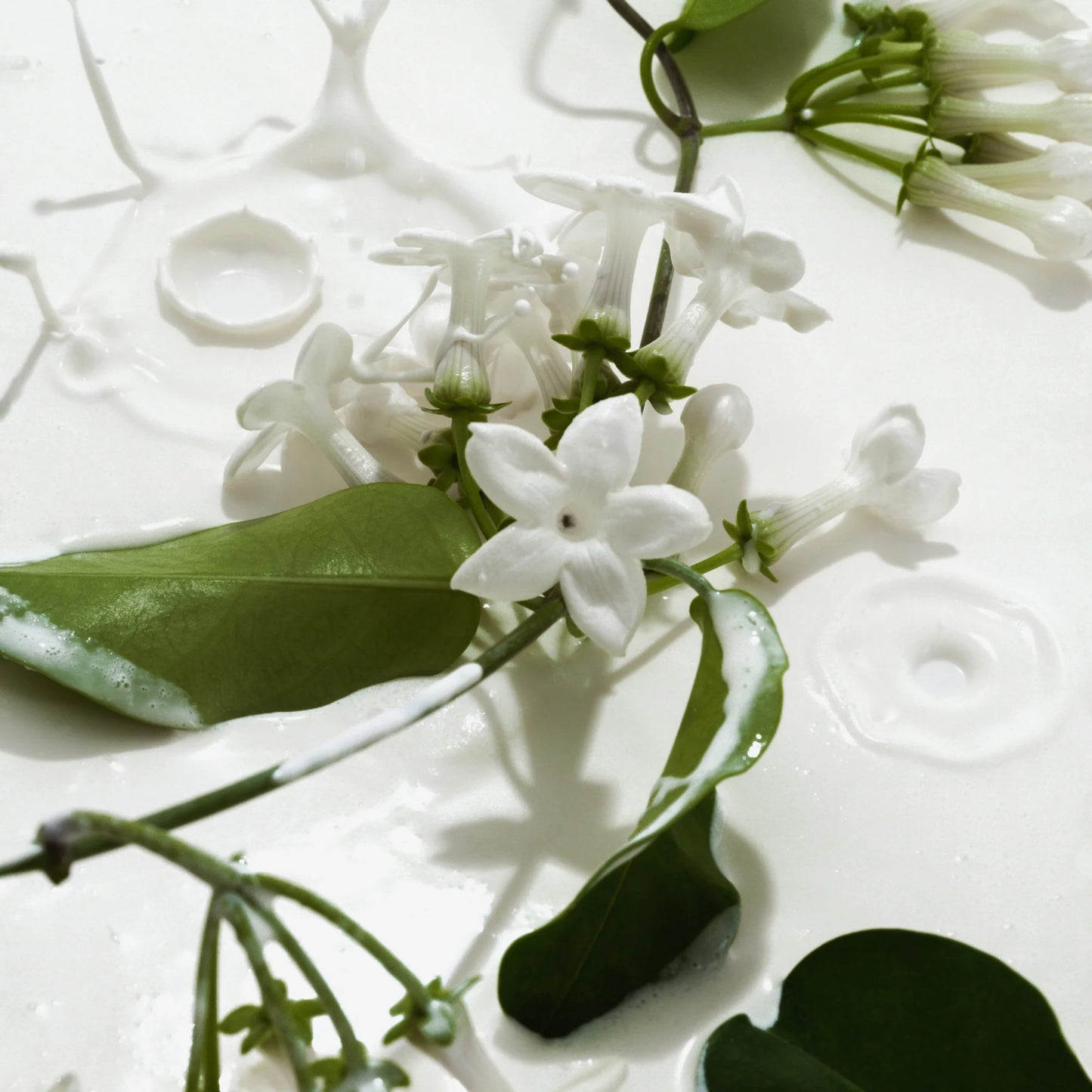 Vanilla & Cream - Body Mists